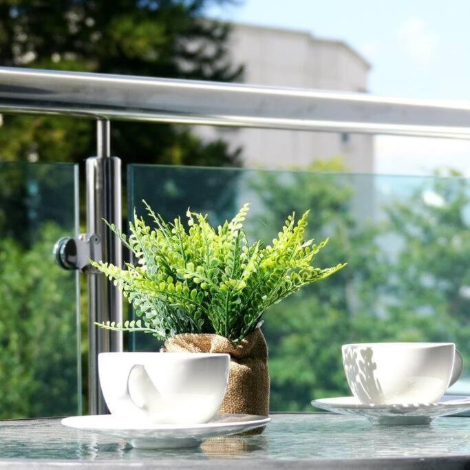Suites Room Soha II Сантьяго-де-лос-Трейнта-Кабальєрос Екстер'єр фото